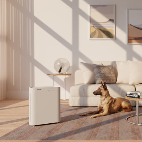 Ionmax Breeze ION420 UV HEPA Air Purifier in living room with dog